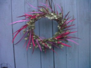 IMG00269-20111111-1549